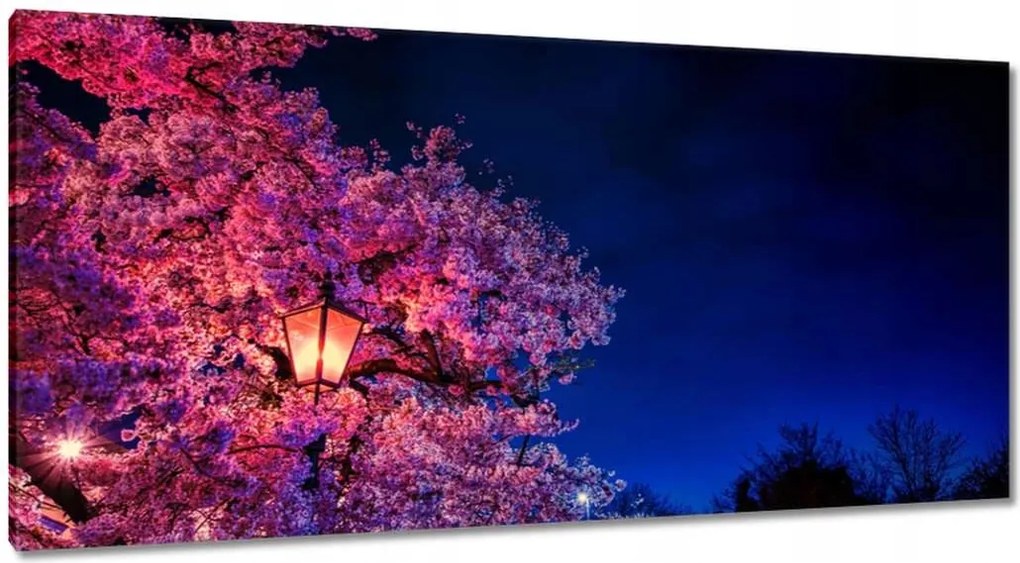 Képek 115x55 Hálószoba motívum Lámpa