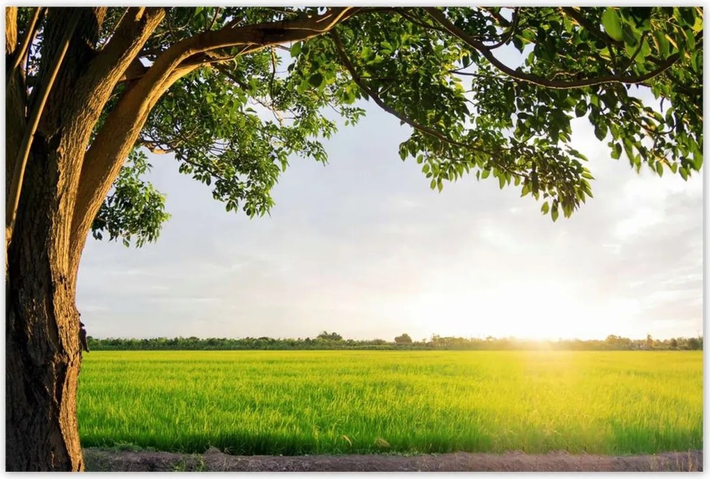 Poszterek 120x80 Misztikus naplemente