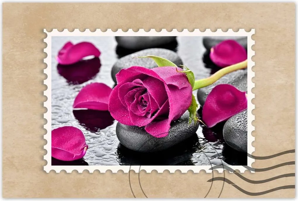 Poszterek 90x60 Rózsaszín rózsa köveken