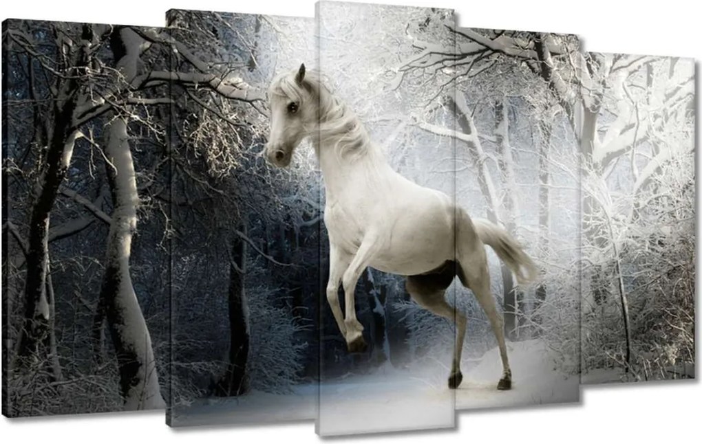 Vászonkép 100x60 Fehér paripa