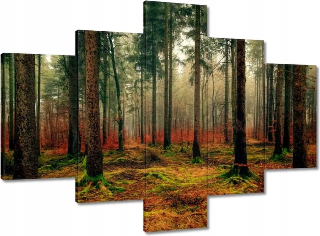 Vászonkép 100x70 Erdő Tájkép