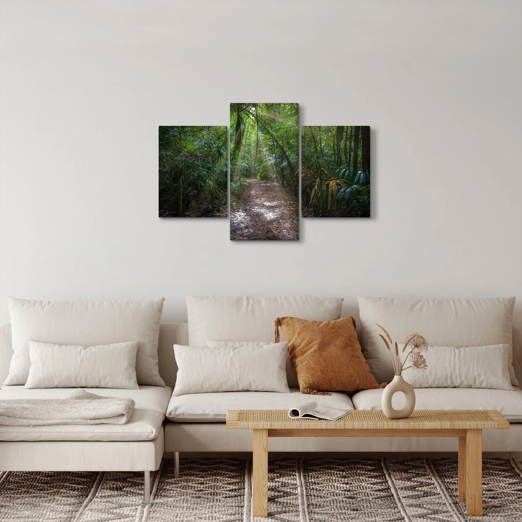 Kép - Napsugarak a dzsungelben (90x60 cm)