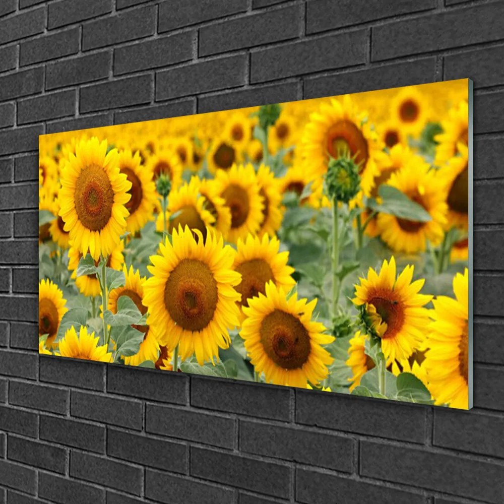 Fali üvegkép Plant napraforgó Természet 120x60cm