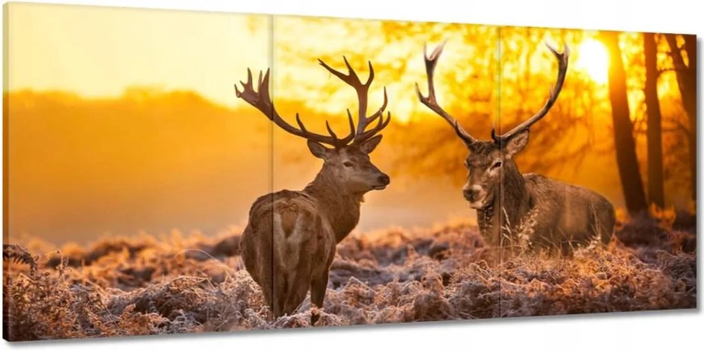 Vászonkép 150x70 Szarvasok a hajnalban