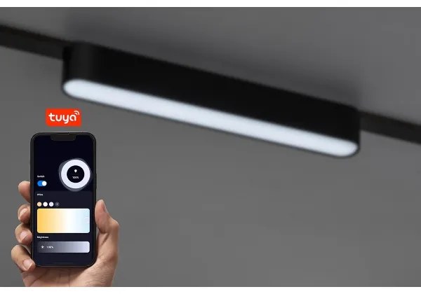 Rabalux 70123-LED Dimmelhető mennyezeti lámpa 1 fázisú sínrendszerhez LiTrack 12W/24V 22 cm