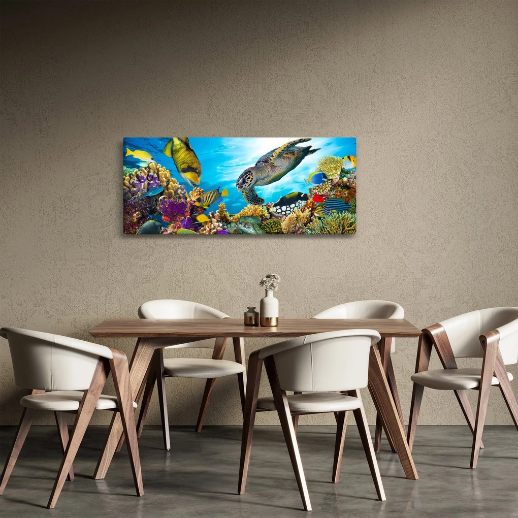 Egy korallzátony képe (120x50 cm)