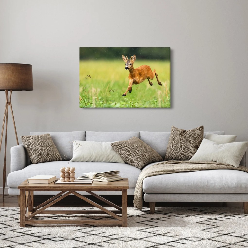 Kép - Őz (90x60 cm)