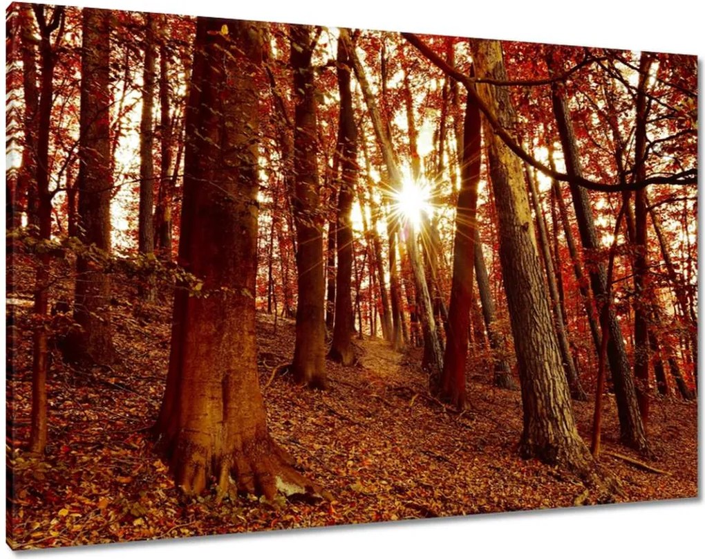 Festmények 100x70 Tájkép Látvány