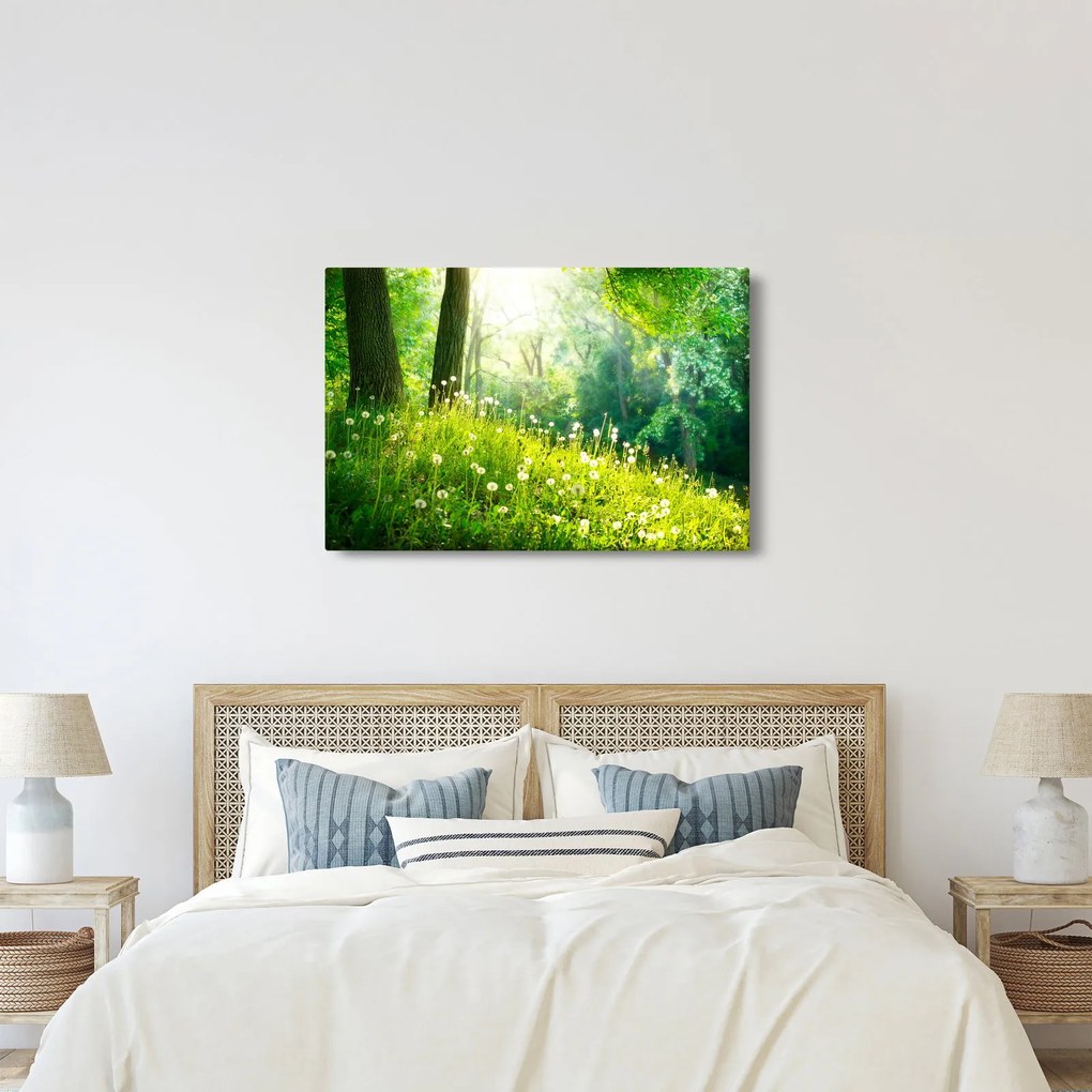 Kép - Varázslatos rét tele pitypanggal (90x60 cm)