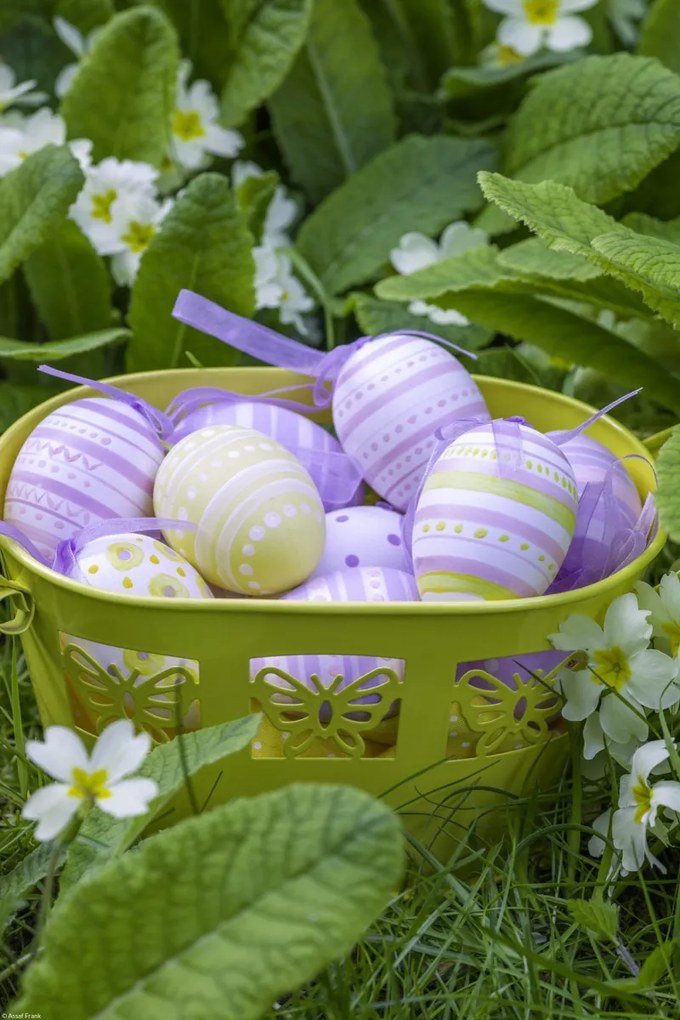 Poszter 30x45cm Húsvéti tojások kosárban 4, Assaf Frank