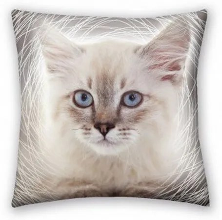 Animals Cat grey párna, 40 x 40 cm