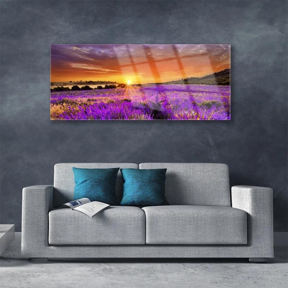 Akrilkép Sunset Lavender Field 120x60 cm