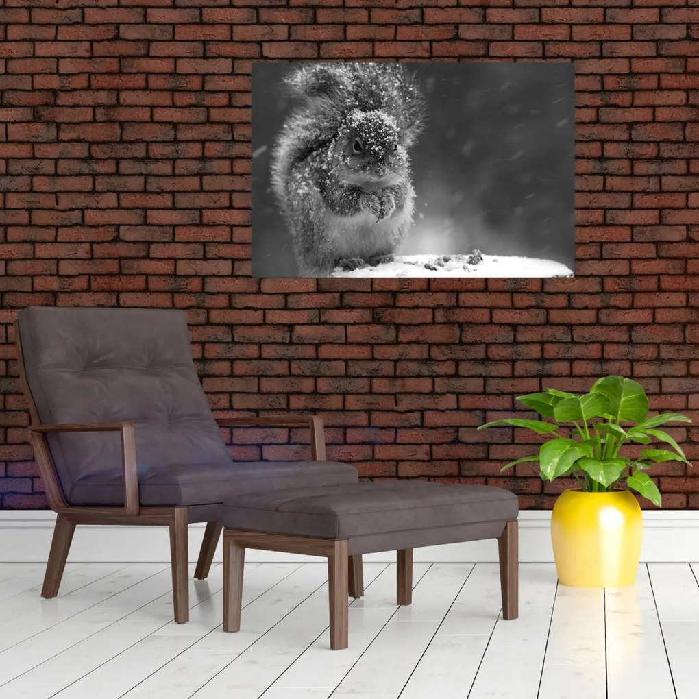 Kép - Mókus télen (90x60 cm)