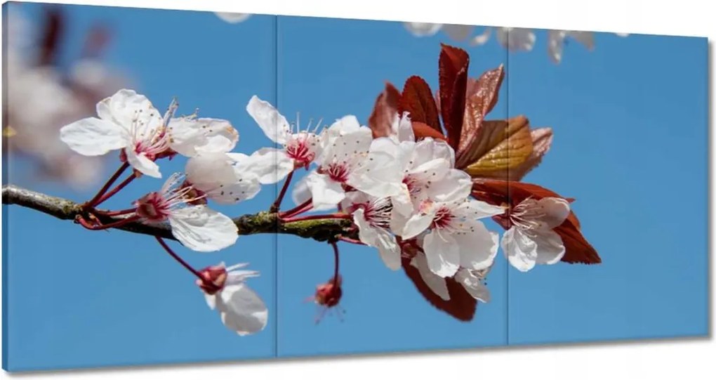 Vászonkép 180x90 Tavaszi felvétel a kertből