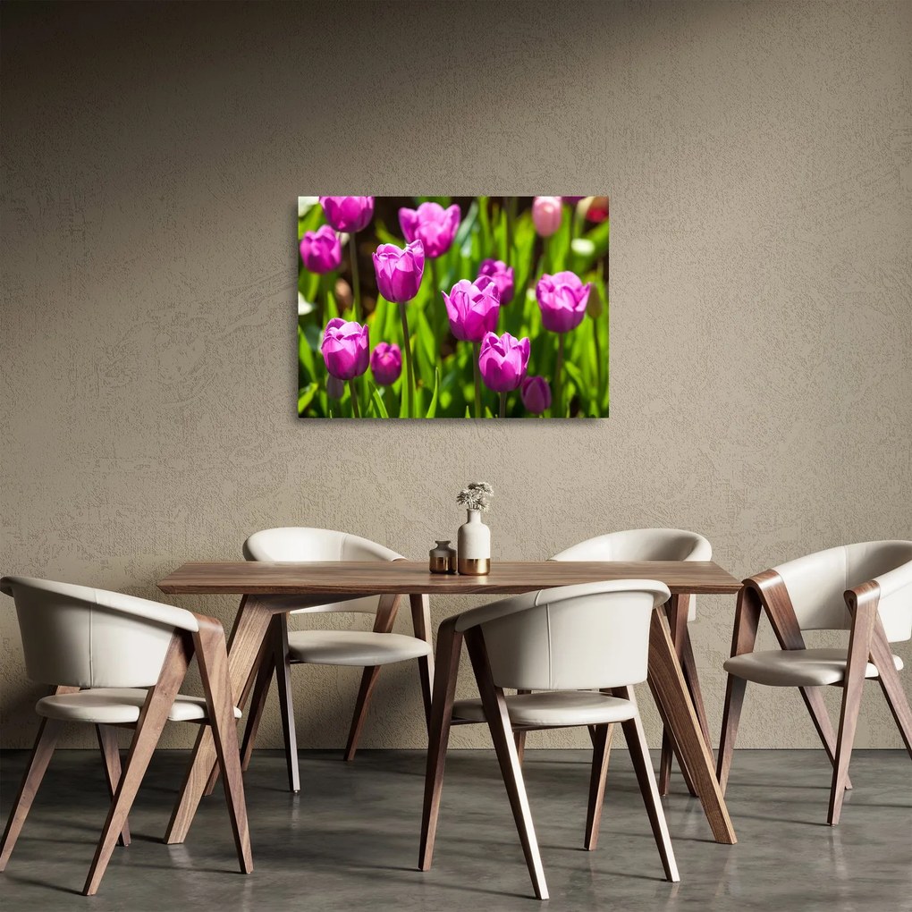 Tulipánok a réten képe (üvegen) (70x50 cm)