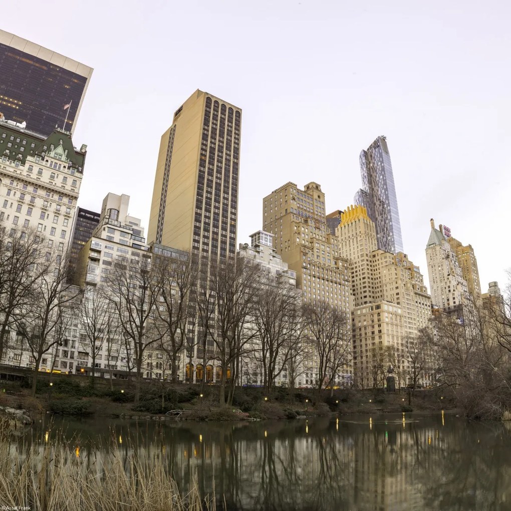 Poszter 30x30cm Központi park Manhattan panorámával 3, Assaf Frank