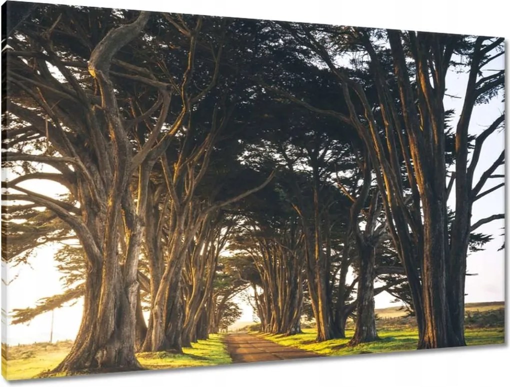 Vászonkép 90x60 Tájkép Látvány