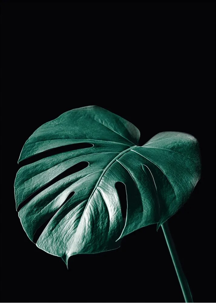 Dekoria Dark Monster poszter