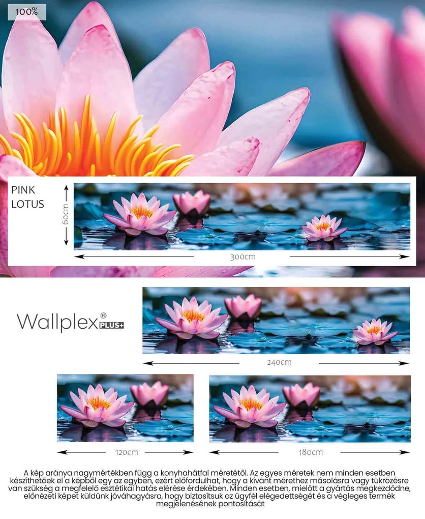 Wallplex konyhahátfal Pink Lotus (Méret: 60x180)