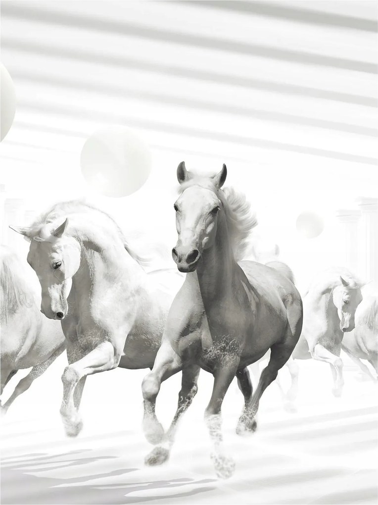 Fotótapéta Ló Lovak Galopp Természet 3D Hatás 184x254