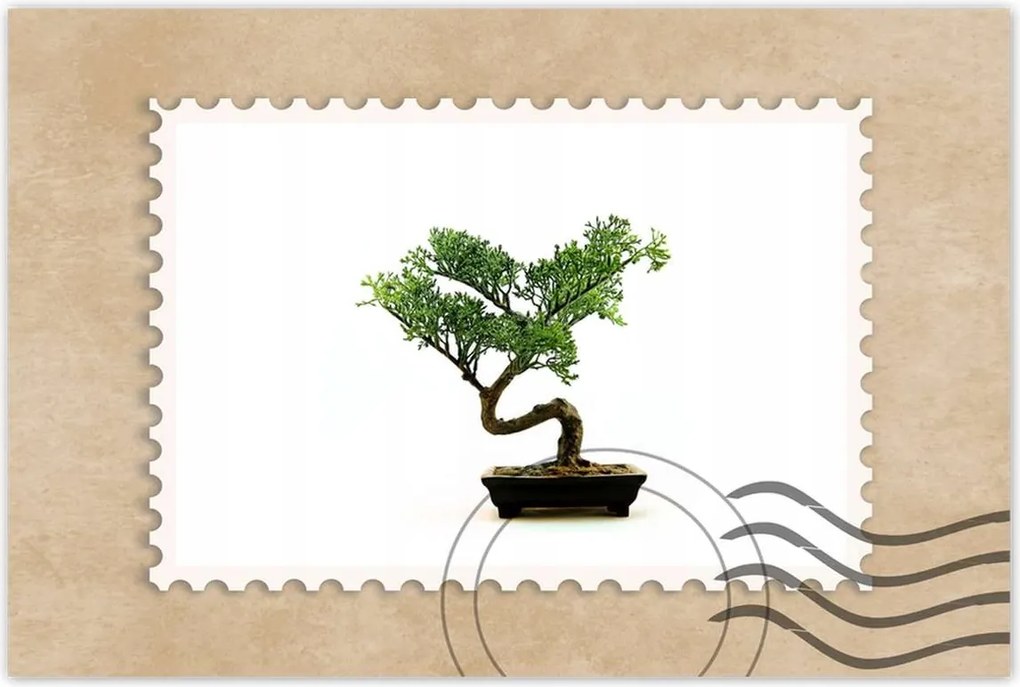 Poszterek 120x80 Bonzai fa