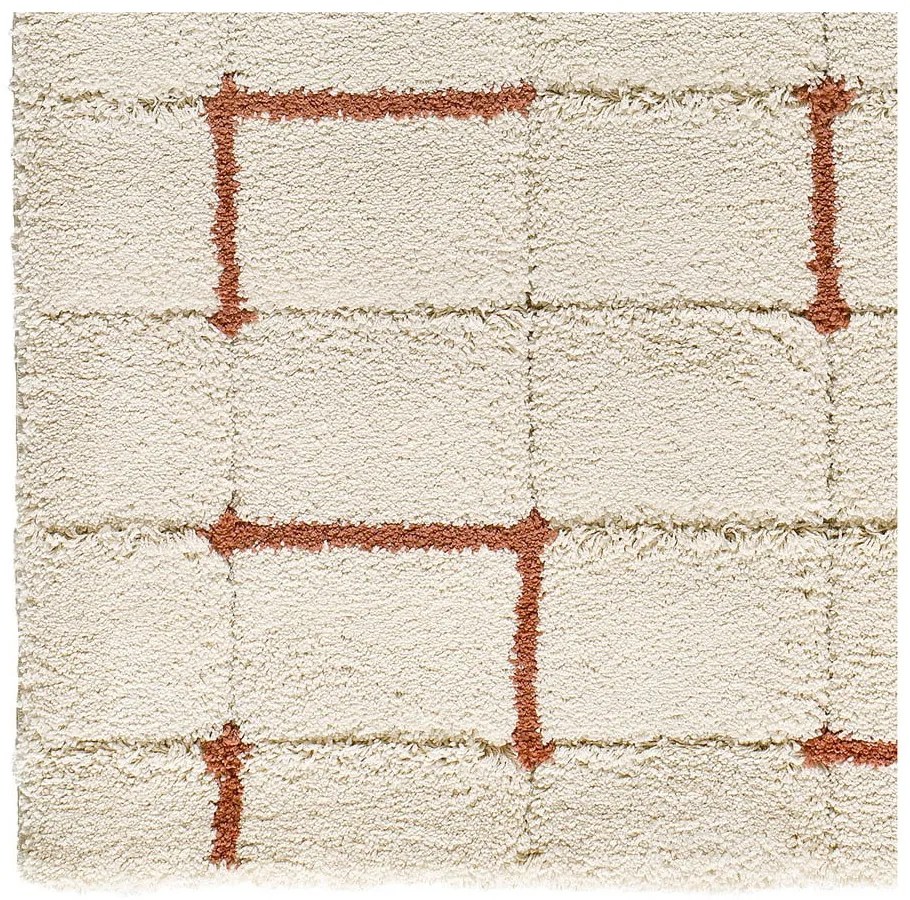 Téglavörös-krémszínű szőnyeg 80x150 cm Brenda – Universal