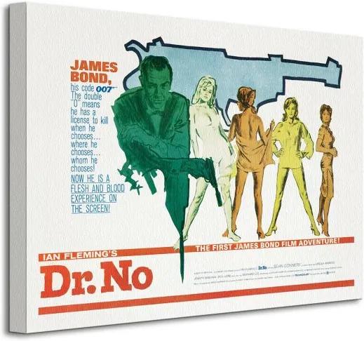 Vászonkép James Bond (Dr No - Gun) 40x30cm WDC92008