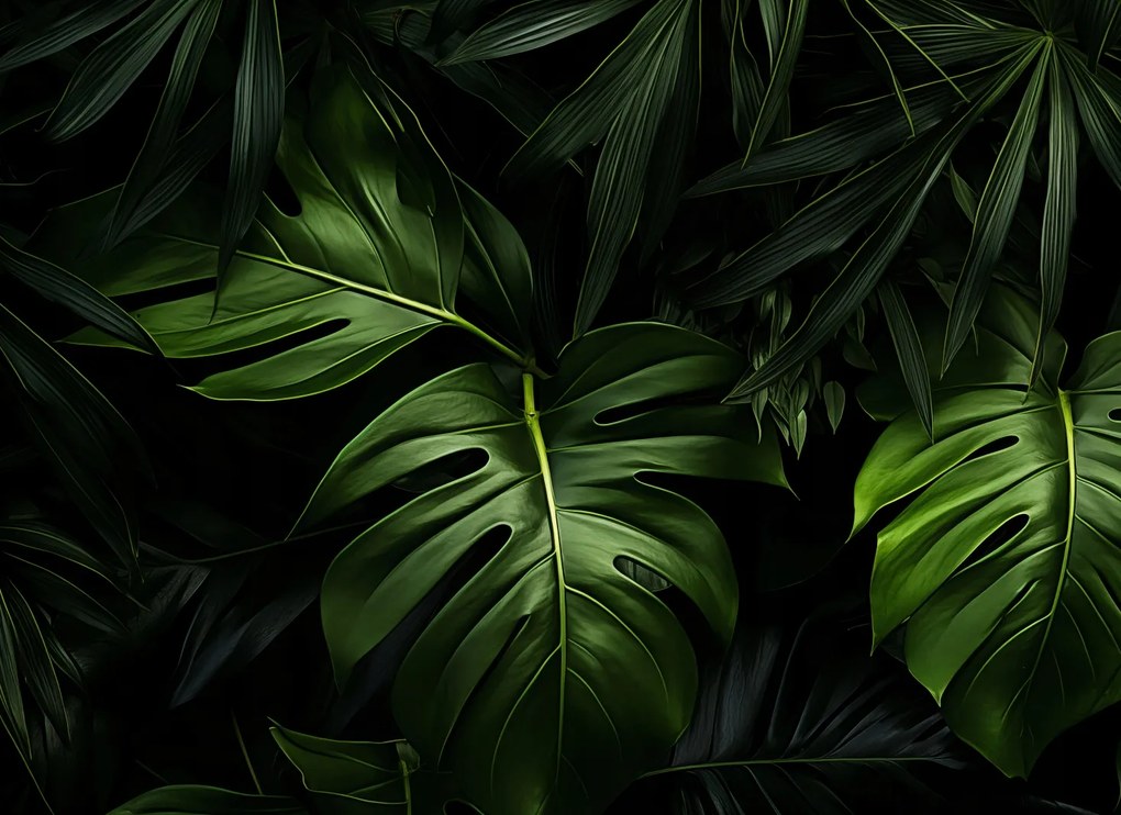 Poszter 55x40cm Zöld suttogás