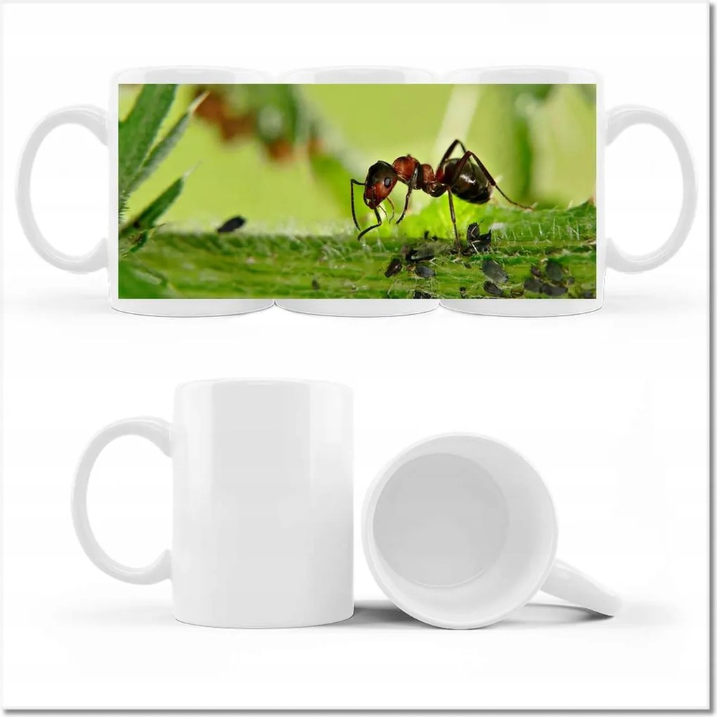 Hangya fényképes bögre Makró fotó