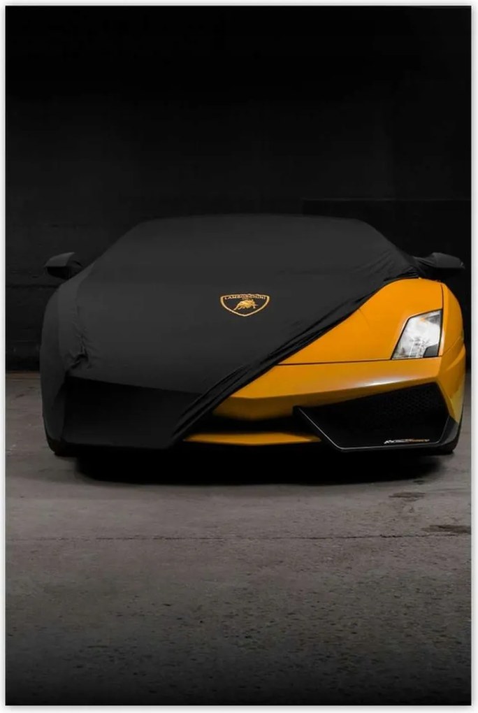 Poszterek 80x120 Narancssárga autó