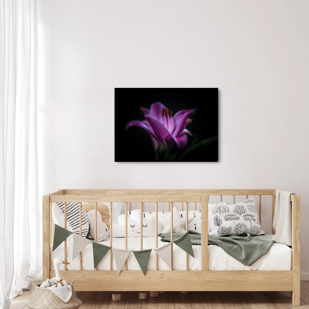 A liliom képe (70x50 cm)