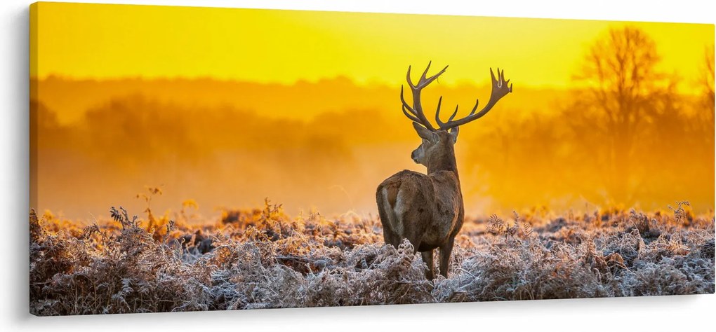 Kép - Szarvas napfelkeltekor (120x50 cm)