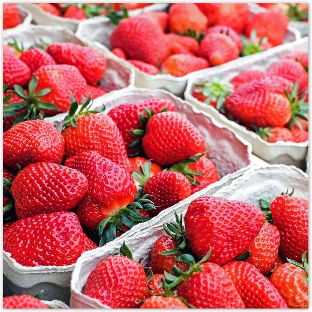 Poszterek 140x140 Konyhai poszter Forradalmak