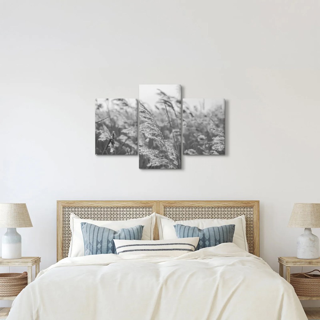 Kép - Fű a szélben (90x60 cm)