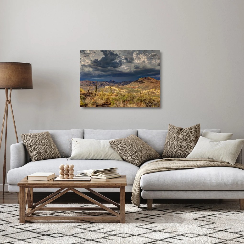 Kép - kaktuszok a természetben (üvegen) (70x50 cm)