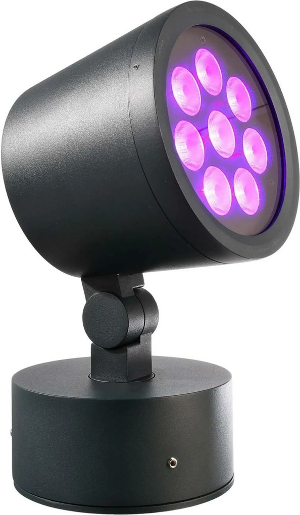 Light Impressions Deko-Light Colt 2 álló-, fali- és mennyezeti lámpa