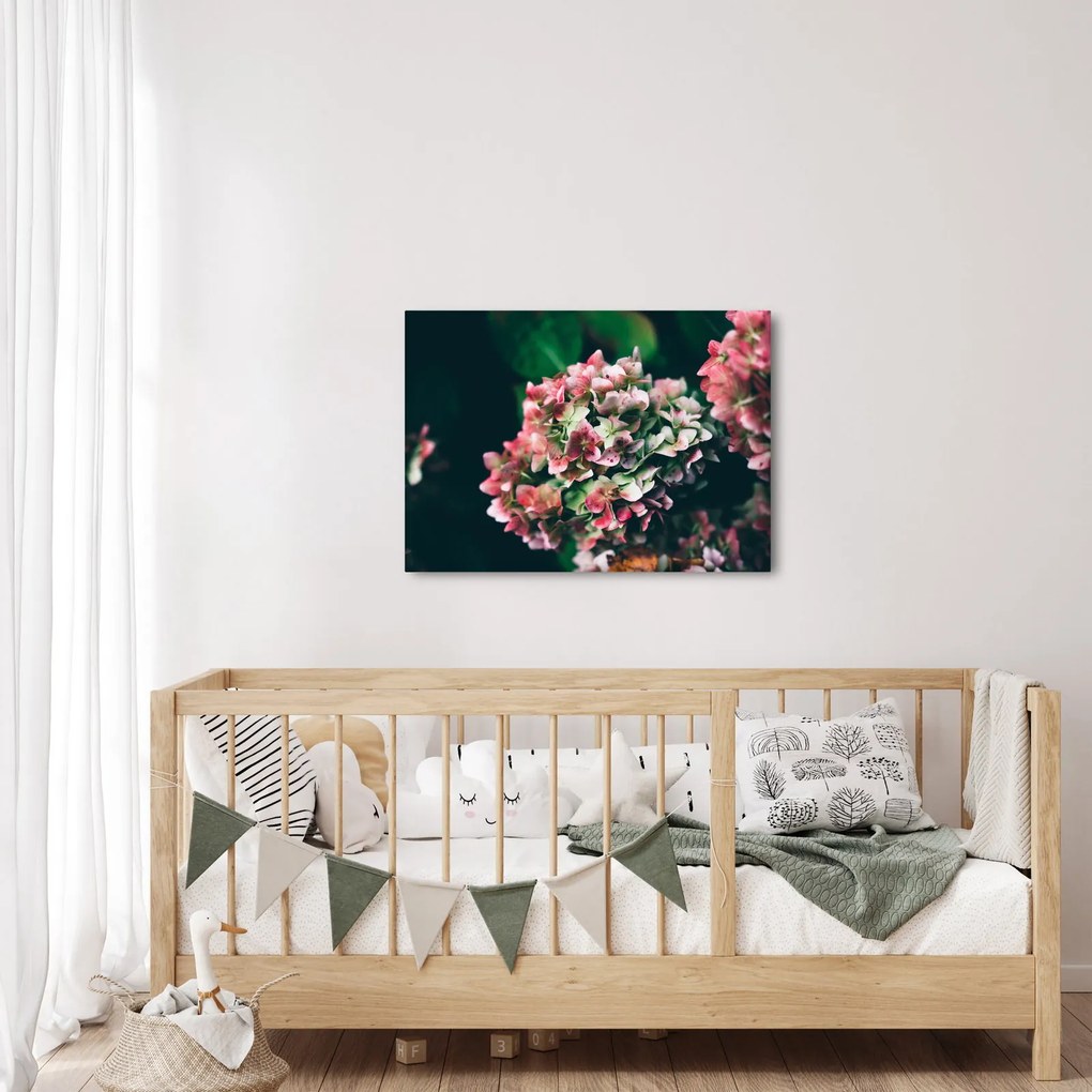 Kép - Hortenzia részlete (70x50 cm)