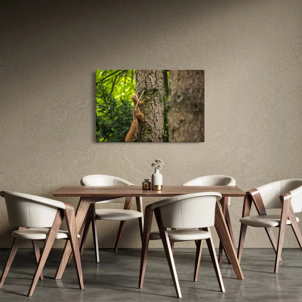 Kép - Mókus (90x60 cm)