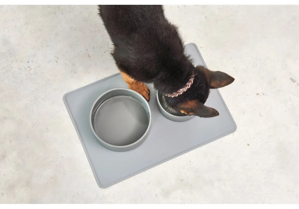 Porcelán tálka kutyáknak ø 16 cm Scodella Cement S/M – MiaCara