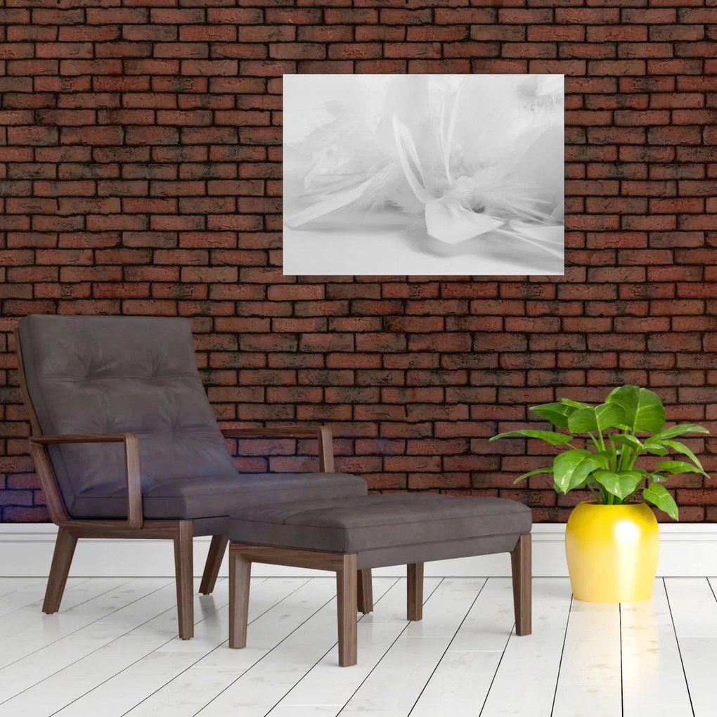 Üveg kép - Tollak (70x50 cm)