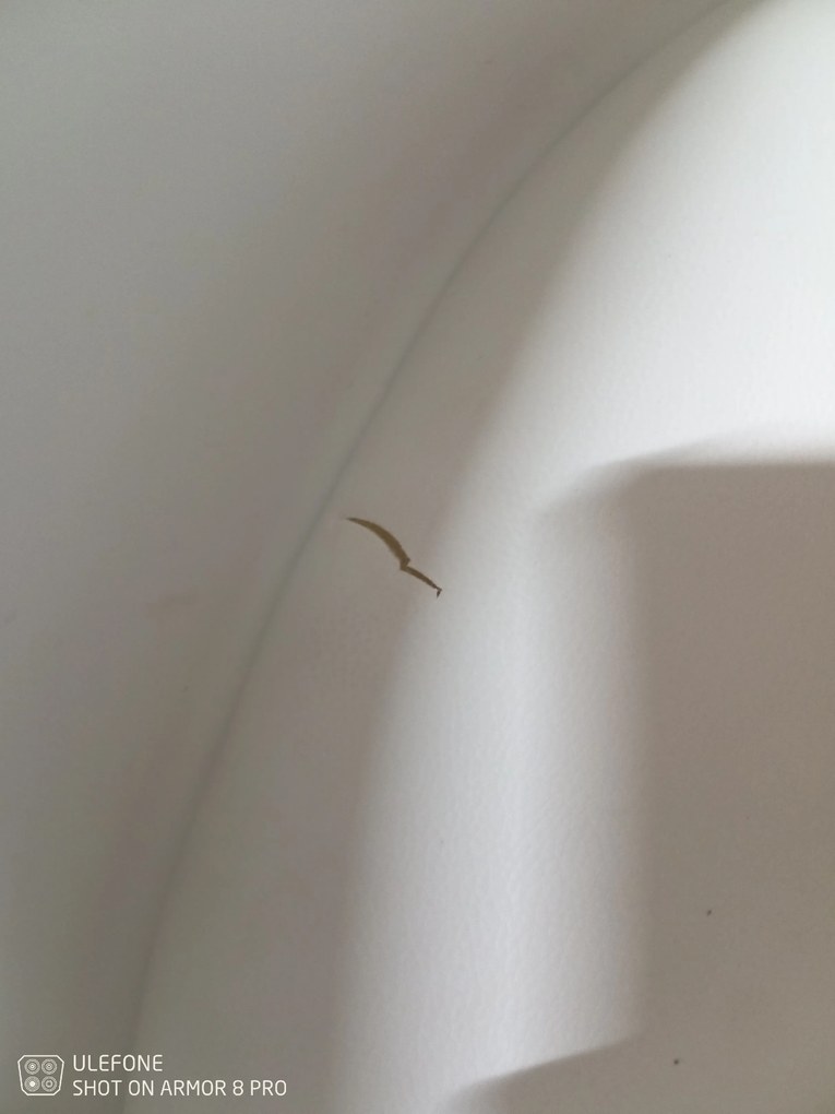 Akció Fehér szék tölgy lábakkal KRIS II. osztály