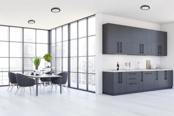 Kanlux 38383 - LED Kültéri lámpa BENO E LED/20W/230V 3000/4000/6500K IP65