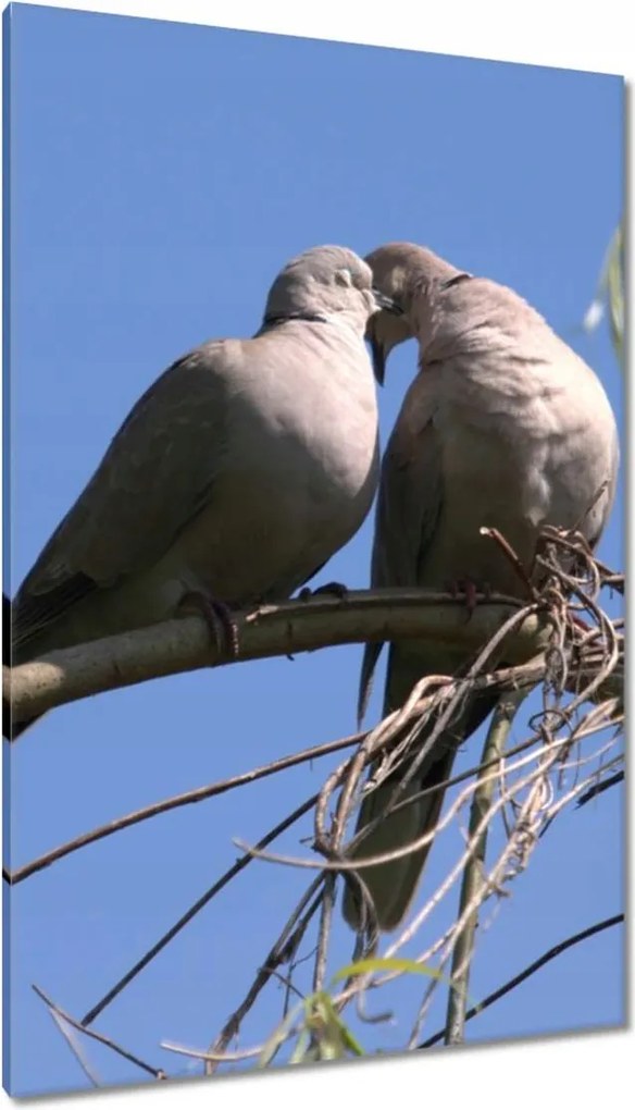 Vászonkép 80x120 Szerelem Érzés Párkapcsolat