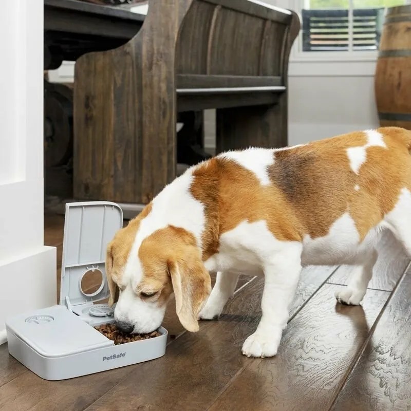 PetSafe® Automatic 2 Meal Pet Feeder automatikusetető