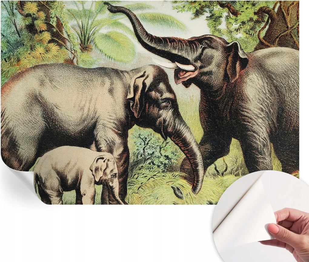 Öntapadós tapéta Fali furnér 3D hatás Családi elefántok 152x104 cm