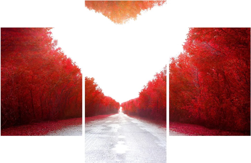 Kép - Út a szerelemhez (90x60 cm)