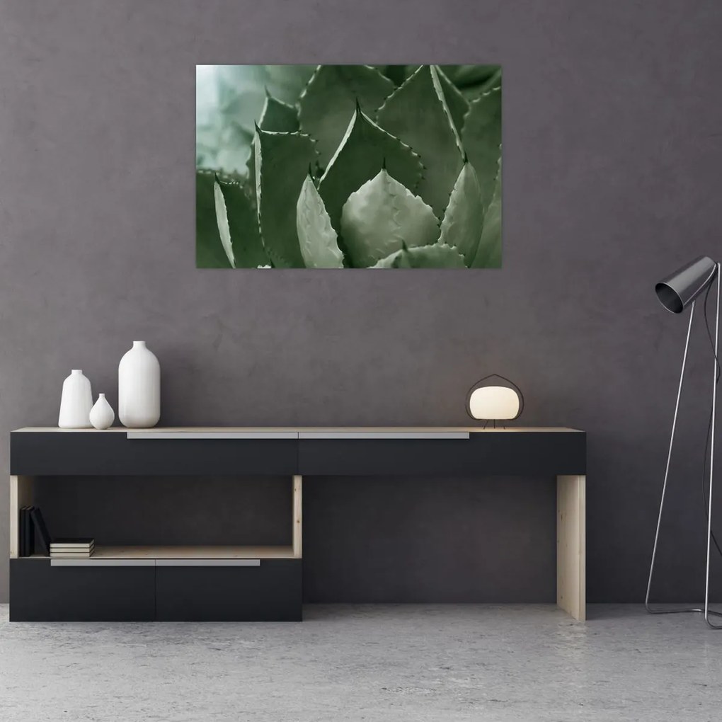 Kép - Zöld agávé (90x60 cm)