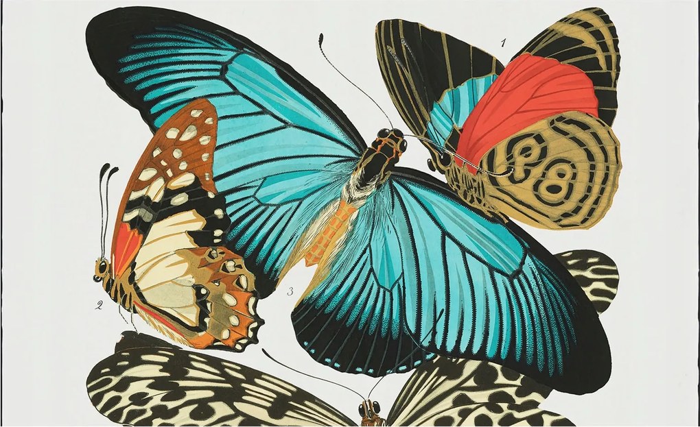 Dekoratív Fotótapéta Hálószobába Színes pillangók 416x254 Ragasztó