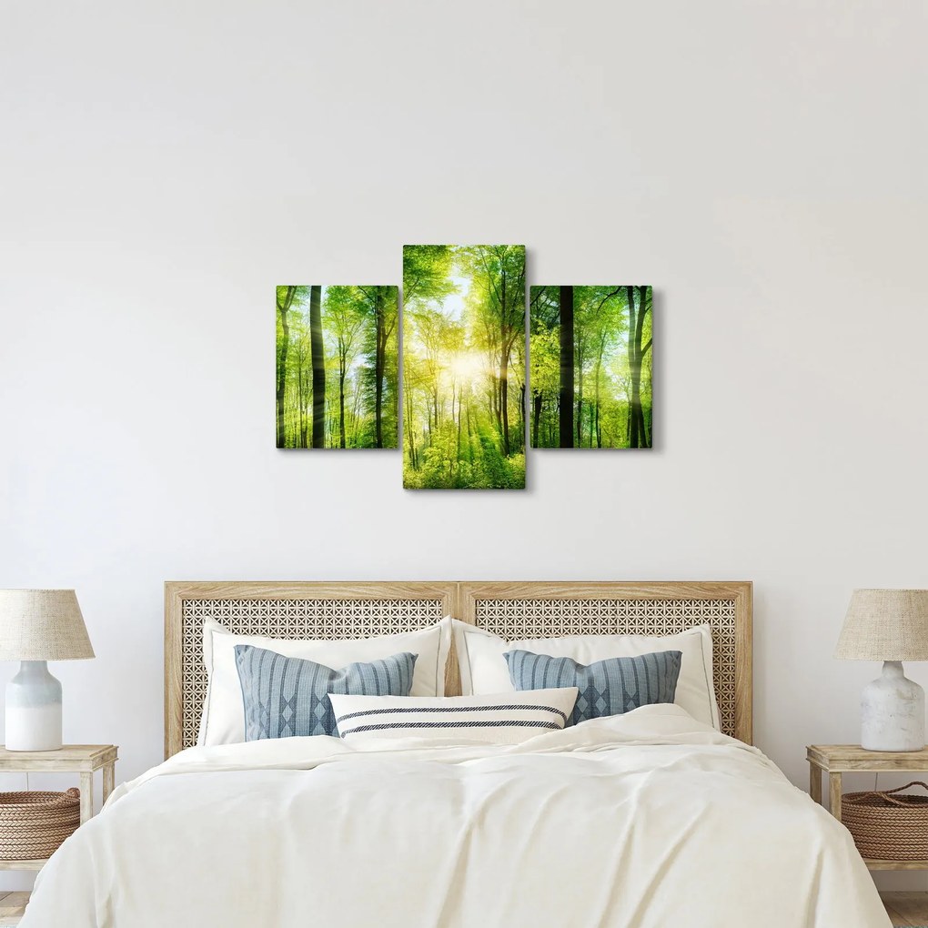 Kép - Hajnal az erdőben (90x60 cm)