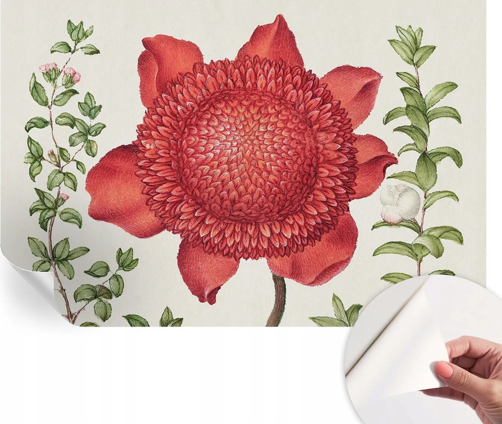 Öntapadós Mosható Fali Fotótapéta Virágos elegancia 104x70 cm